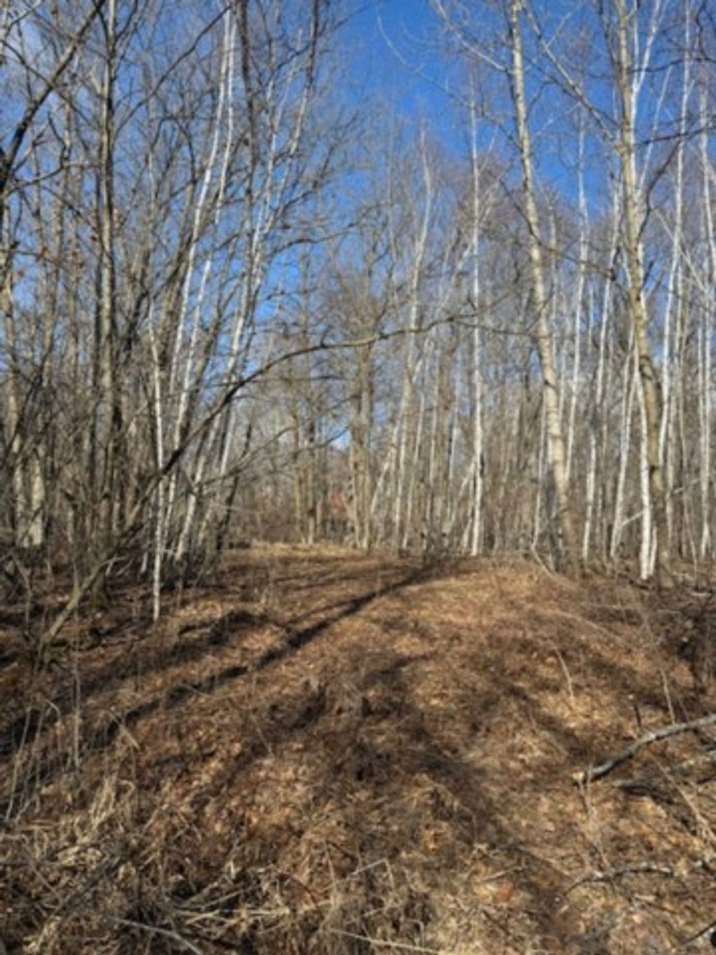 Photo of TBD Woodchuck Trail, Cushing, MN 56443 (MLS # 7047199)