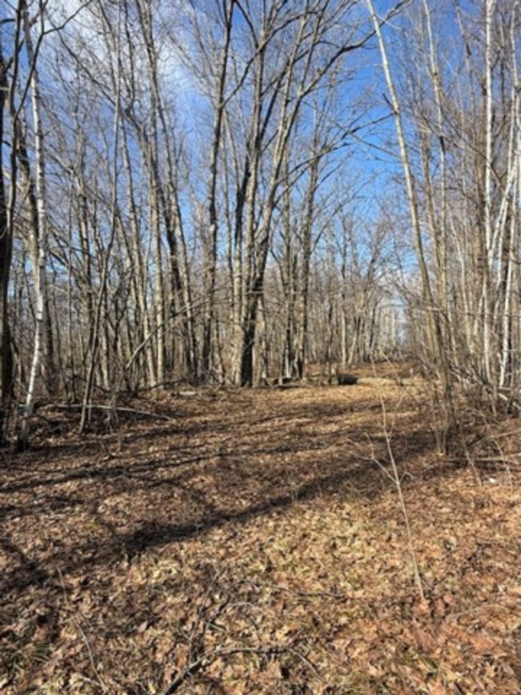 Photo of TBD Woodchuck Trail, Cushing, MN 56443 (MLS # 7047199)