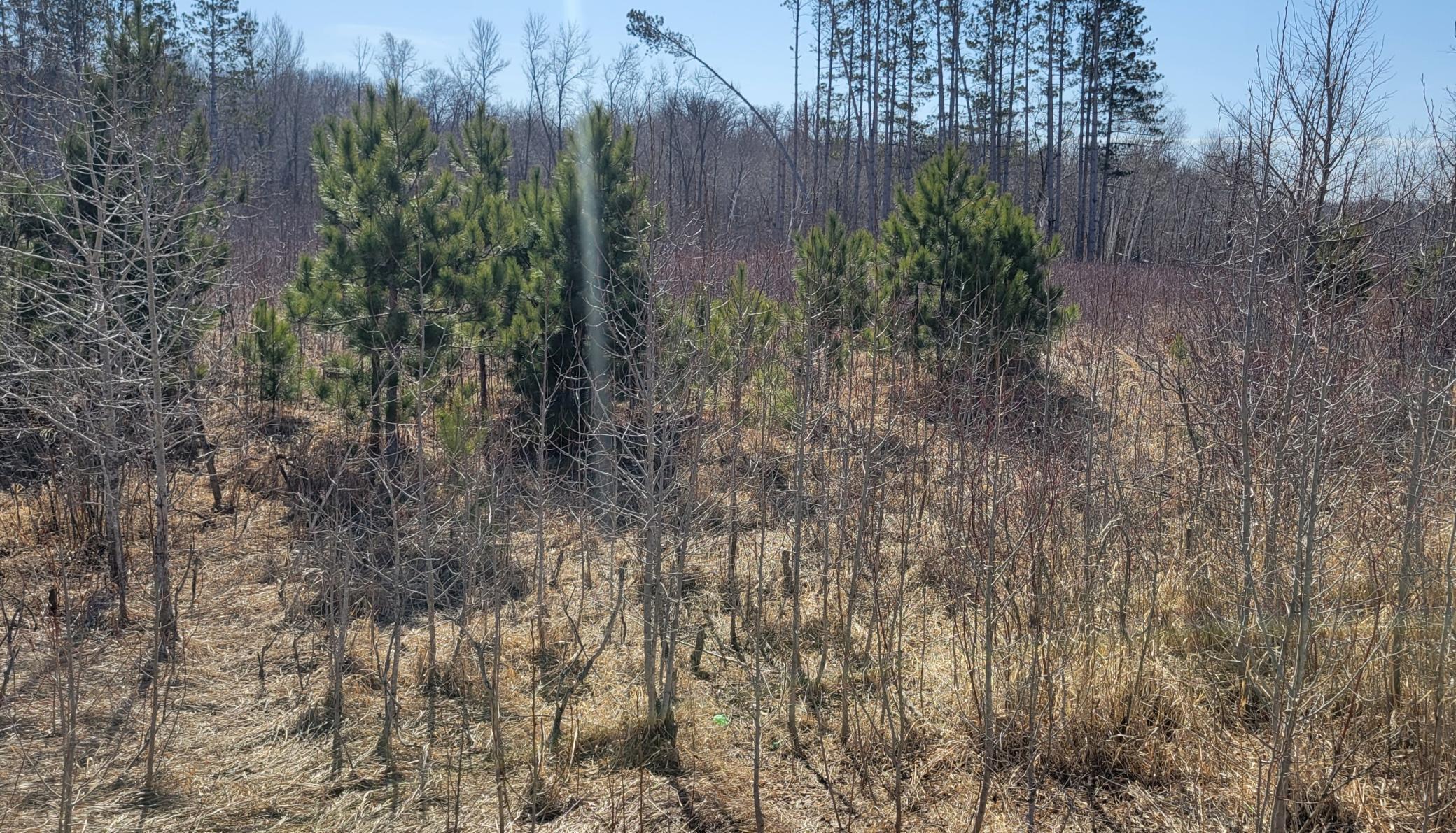 TBD 513th Ave E, Tract E