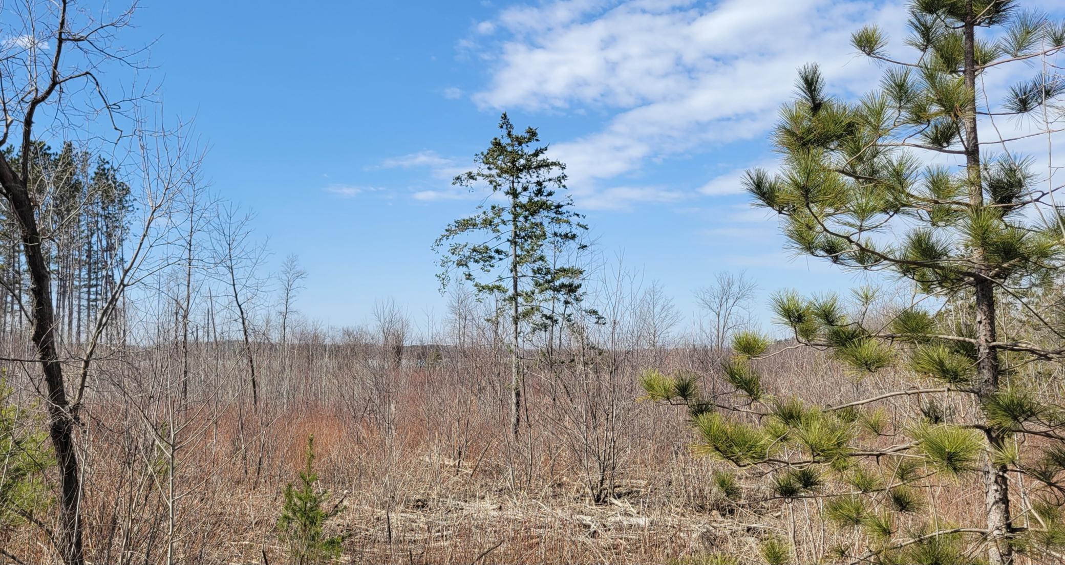 TBD 513th Ave E, Tract E