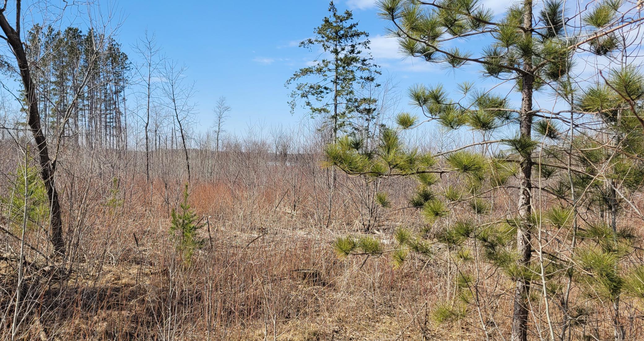 TBD 513th Ave E, Tract E