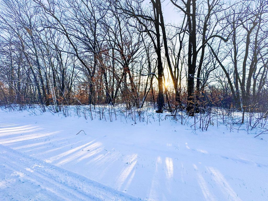 Photo of XXXXX German Lake Road, Underwood, MN 56586 (MLS # 7028045)