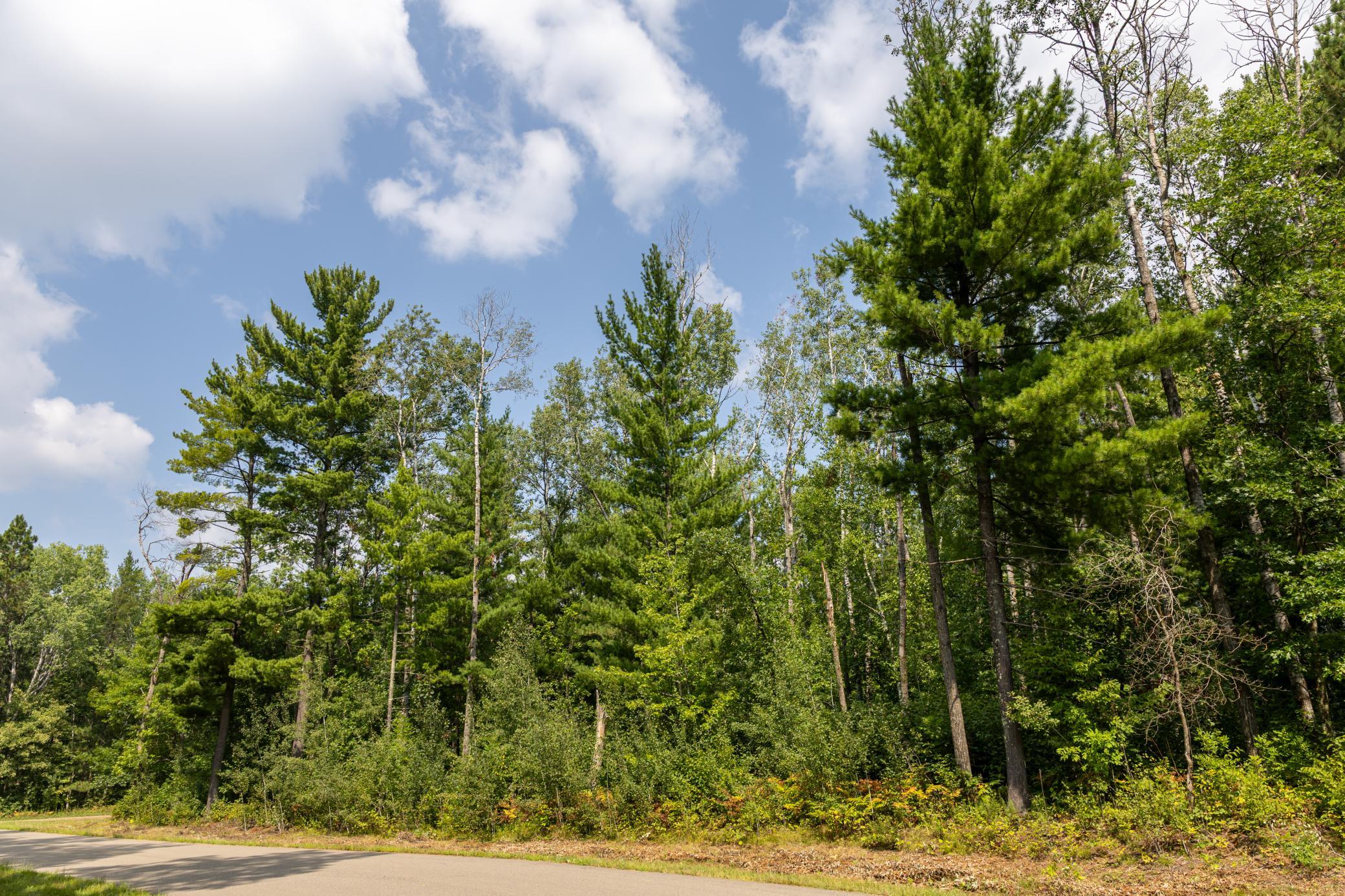 2.97 Acres Lot 8, Block 1 Nature Trail