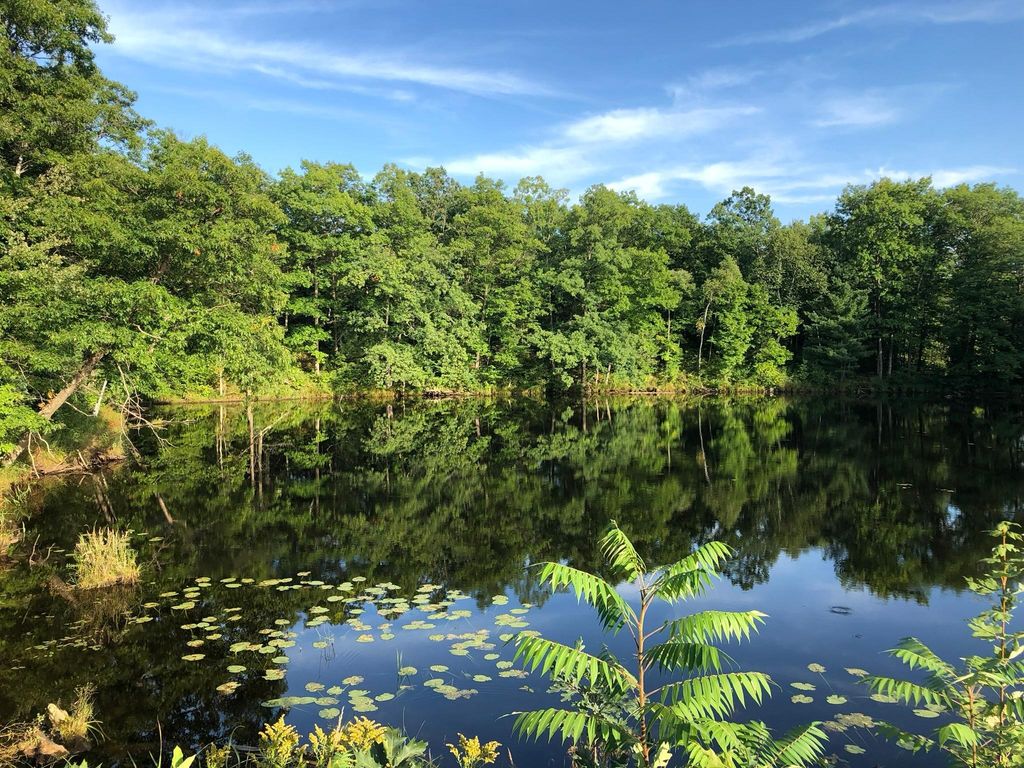 Photo of XXX Old Highway 63, Barronett, WI 54871 (MLS # 7048840)