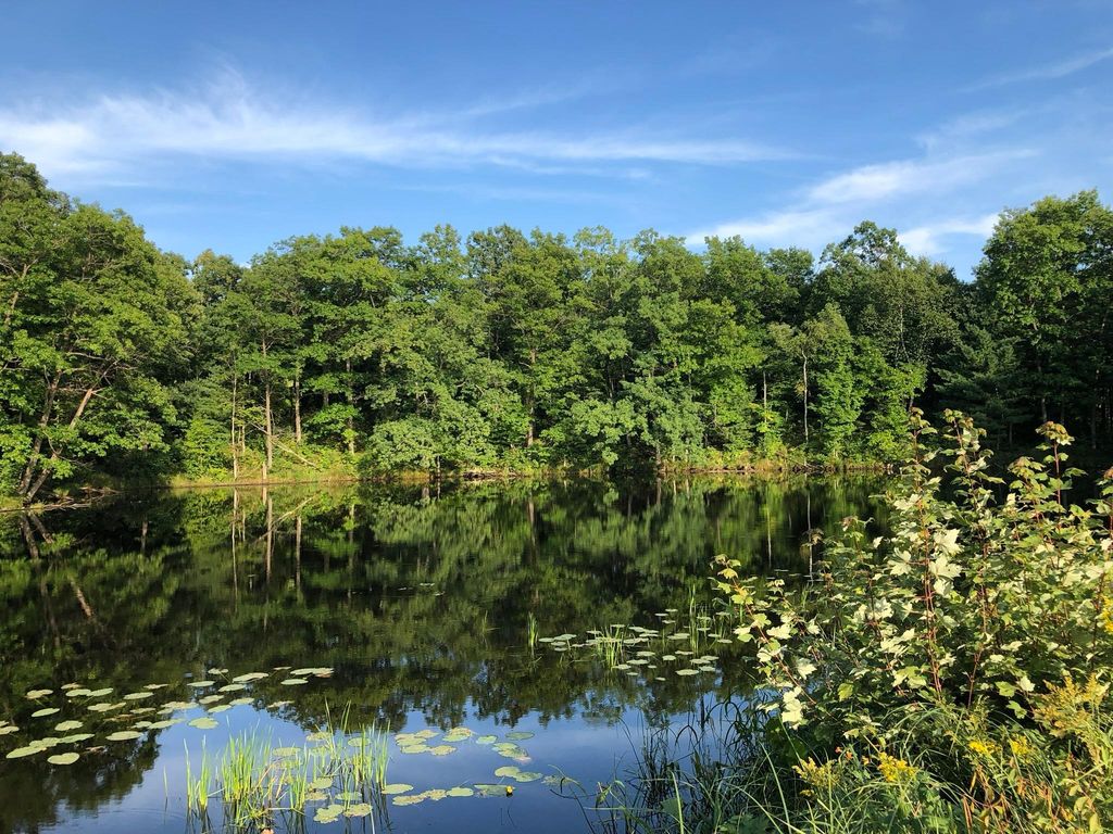 Photo of XXX Old Highway 63, Barronett, WI 54871 (MLS # 7048840)