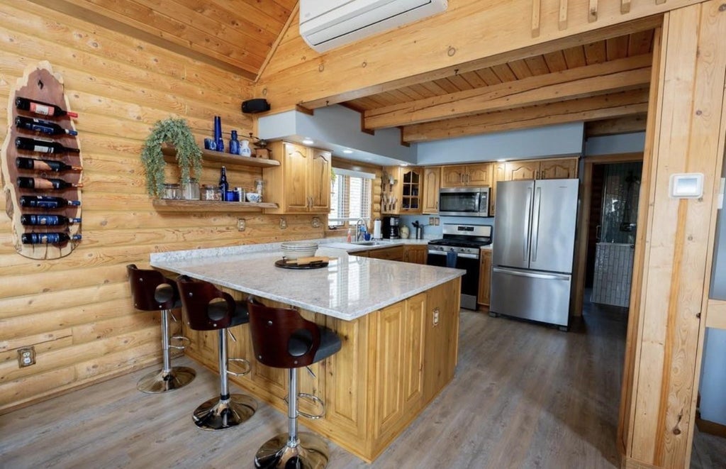 Photo of 17106 305th Avenue, Detroit Lakes, MN 56501 (MLS # 7139554)