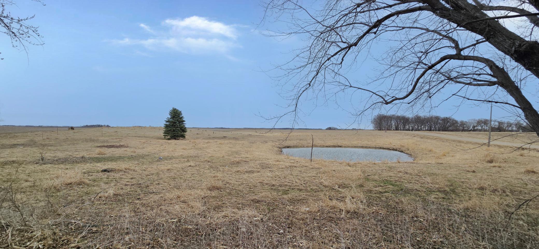 Pond