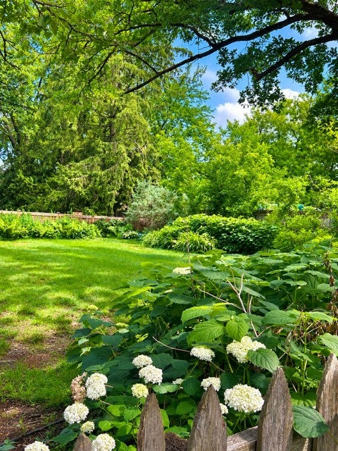 Photo of 5647 Wood Lane, Saint Louis Park, MN 55436 (MLS # 7102379)