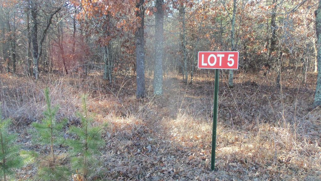 Photo of Lot 5 McLain Rd, Grantsburg Twp, WI 54840 (MLS # 6821612)