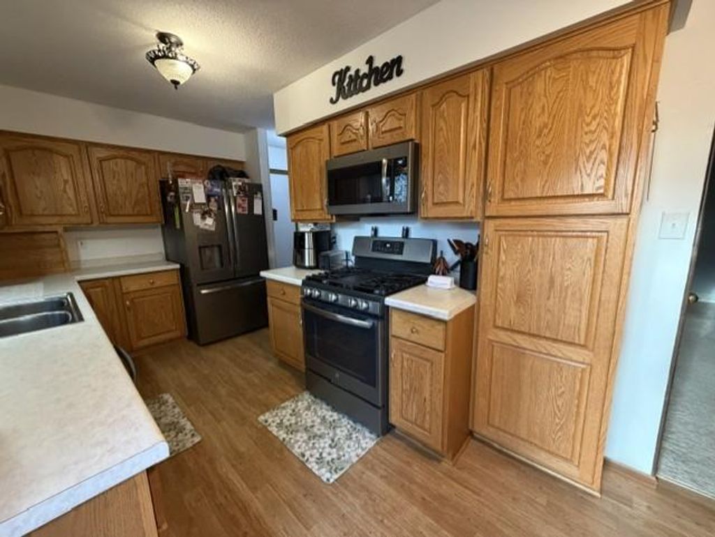 Photo of 608 S Donnelly Avenue, Litchfield, MN 55355 (MLS # 7067918)