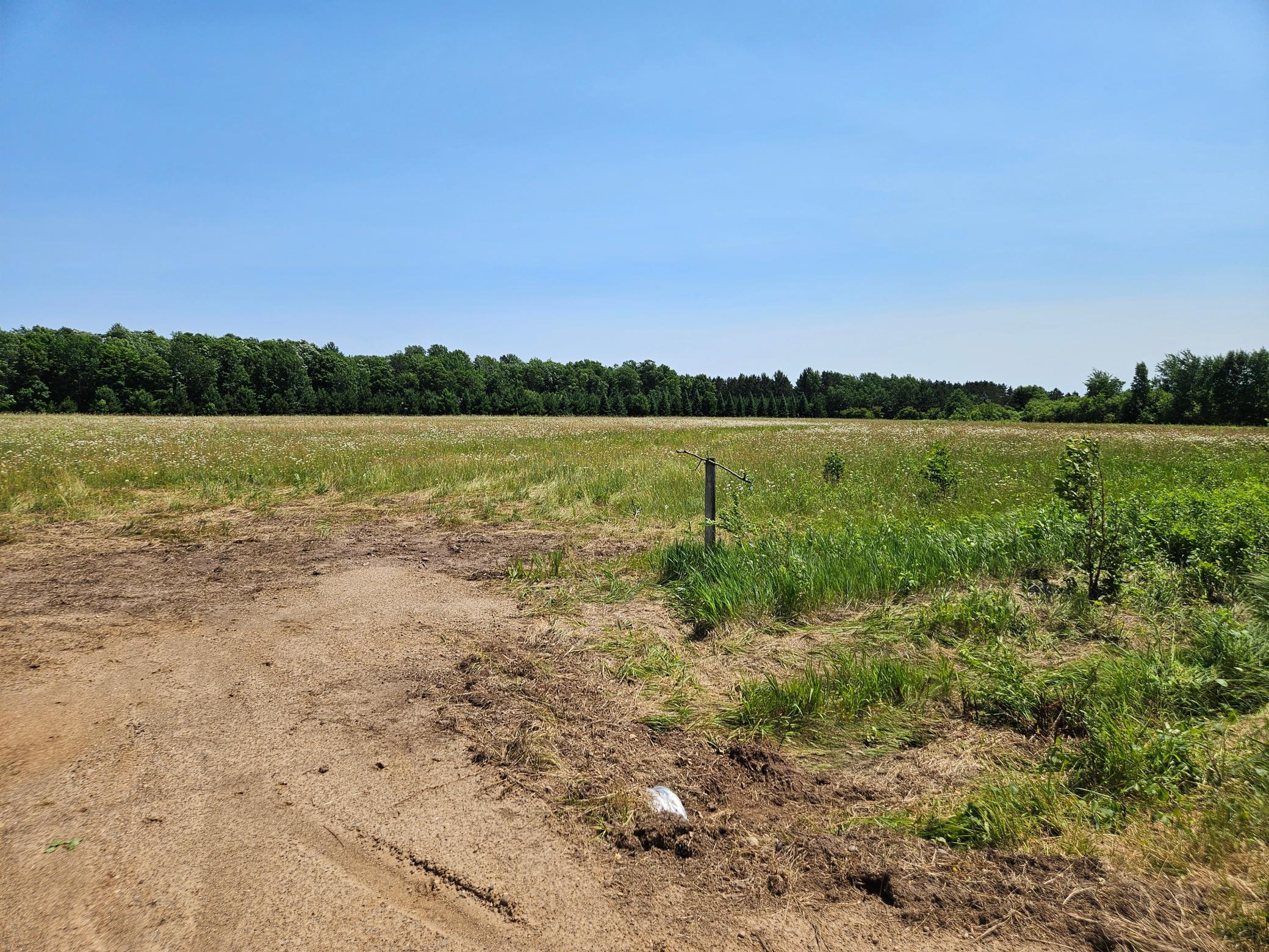 TBD Thorson Road