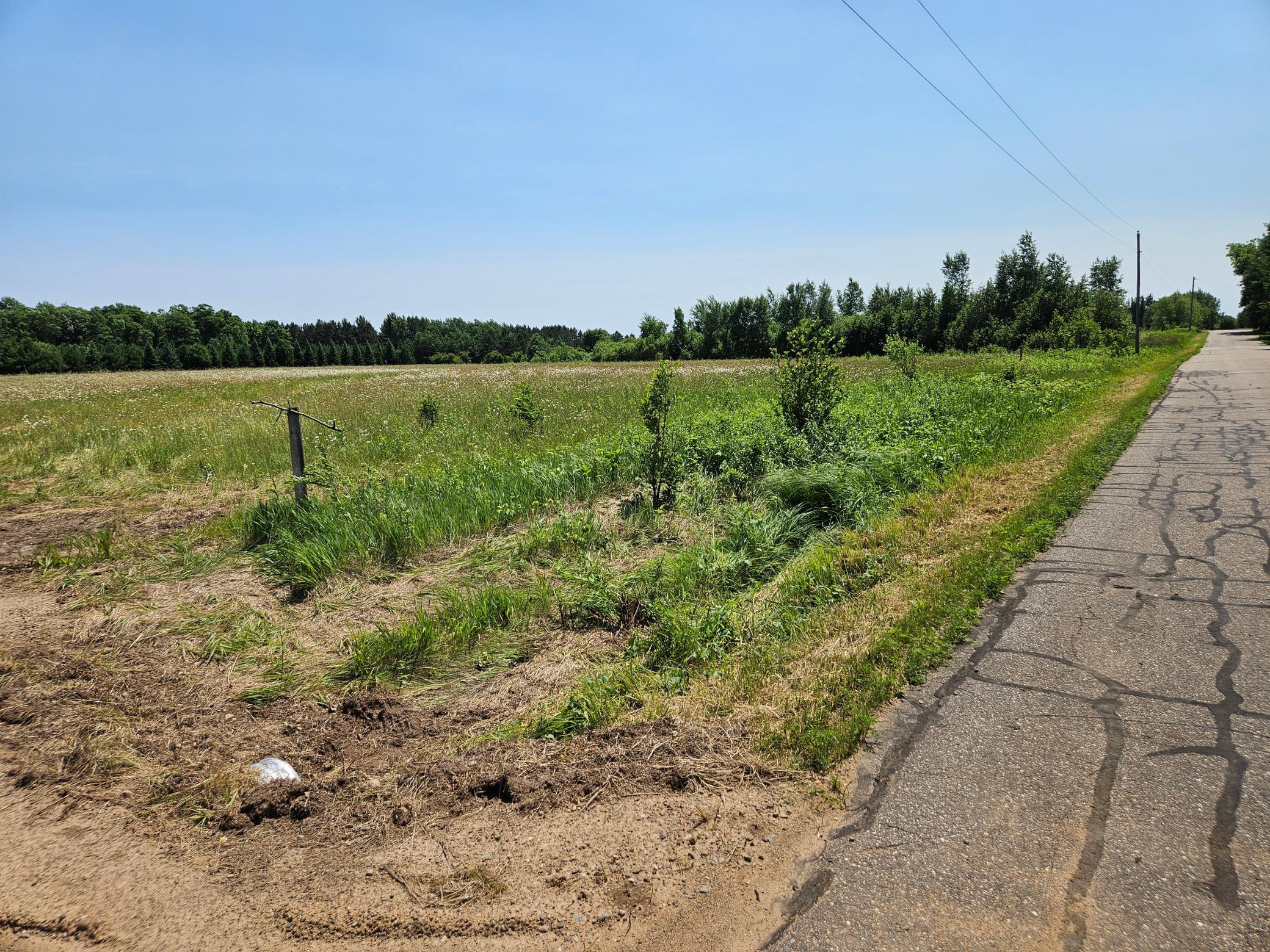 TBD Thorson Road