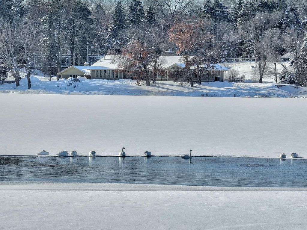 Photo of 4 W Shore Road, North Oaks, MN 55127 (MLS # 6805797)