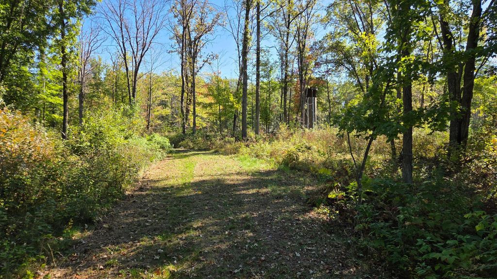 Photo of XXX Herrick Road, Siren, WI 54872 (MLS # 7077743)
