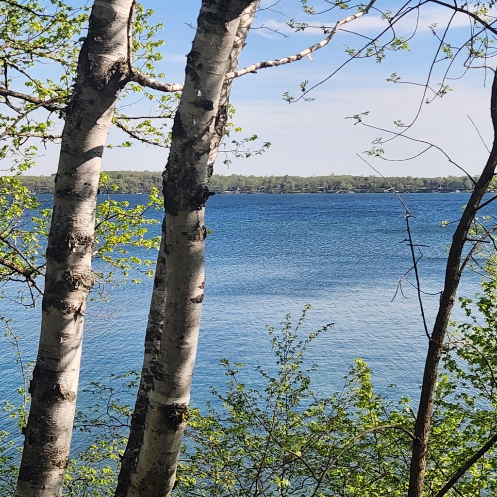 Photo of TBD Knollwood Lane, Pelican Rapids, MN 56572 (MLS # 7045888)