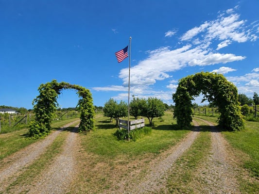 40306 TORCHLIGHT RD, ISLE, MN 56342 - Image bd7fd8fc821bae6c3b38cec425cefa77/3975215149