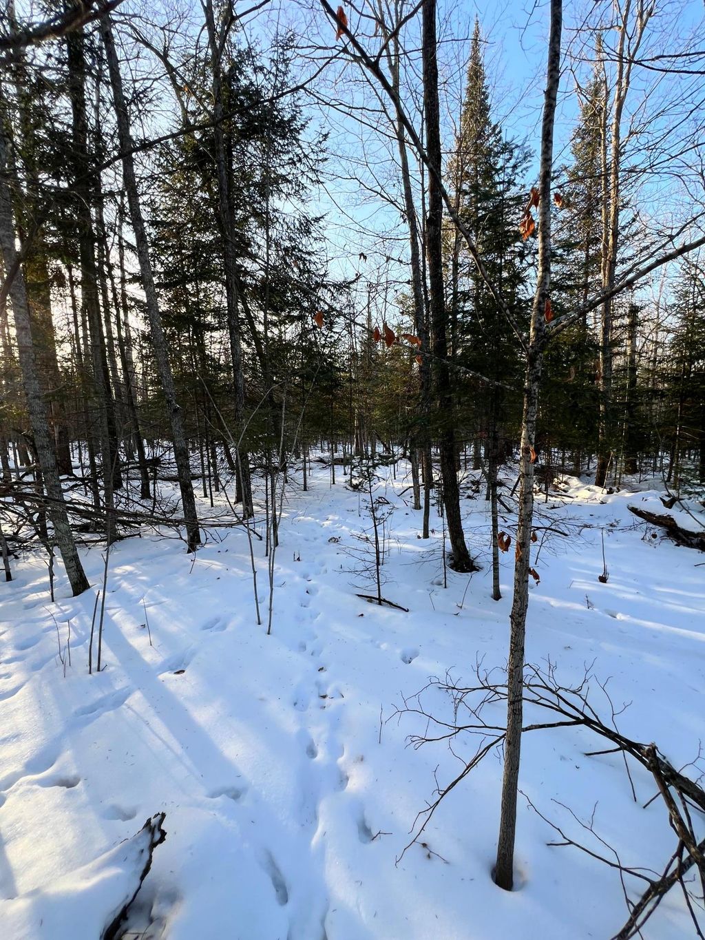 Photo of TBD County Rd 88, Cohasset, MN 55721 (MLS # 7002396)