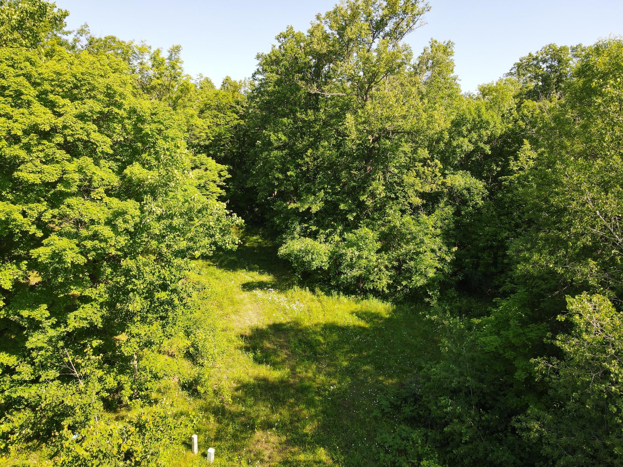 2803 Deschepper Drive