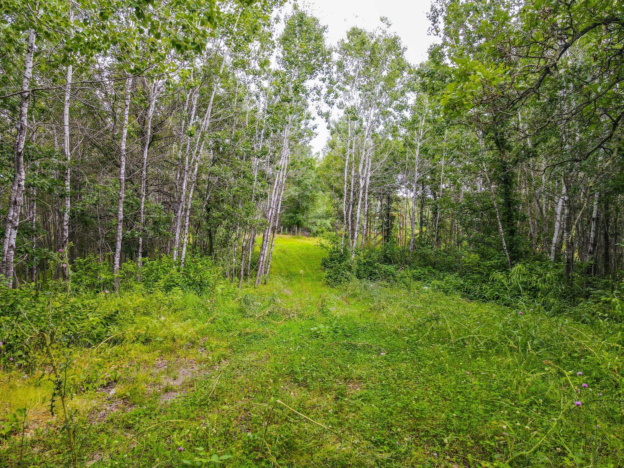 Lot 4 Gasparilla Trail