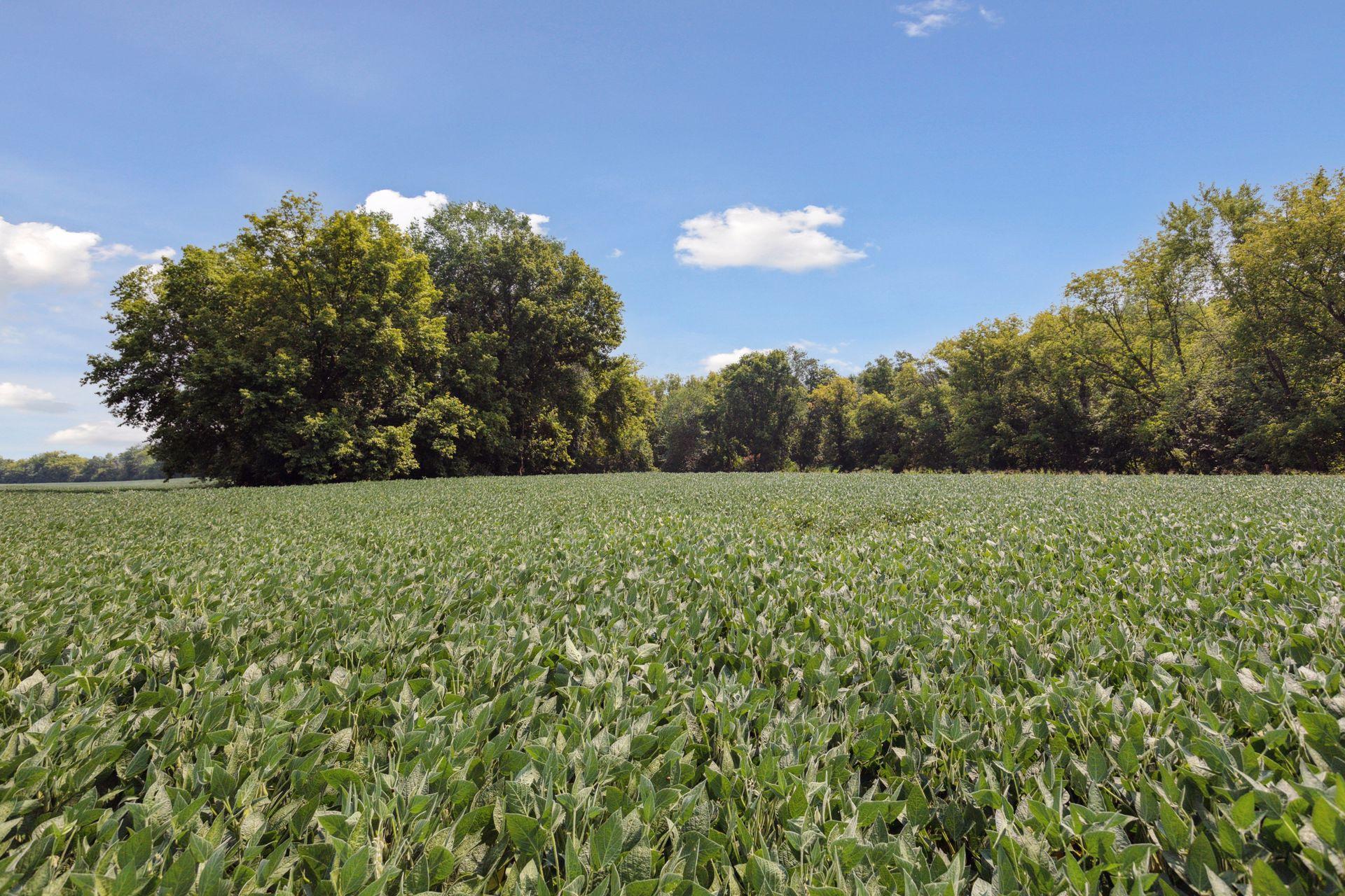 24x2 Holy Name Drive