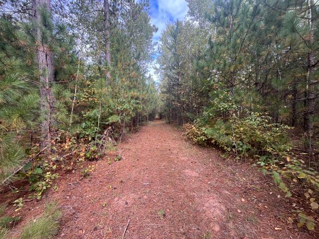 8924 Black Brook Road