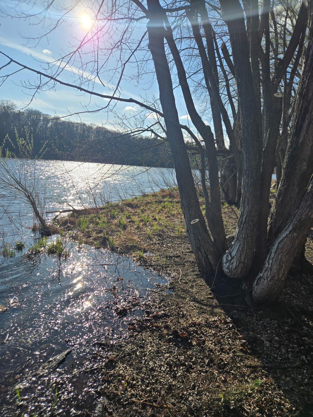 Photo of 6600 Canary Road NW, Royalton, MN 56373 (MLS # 7078056)