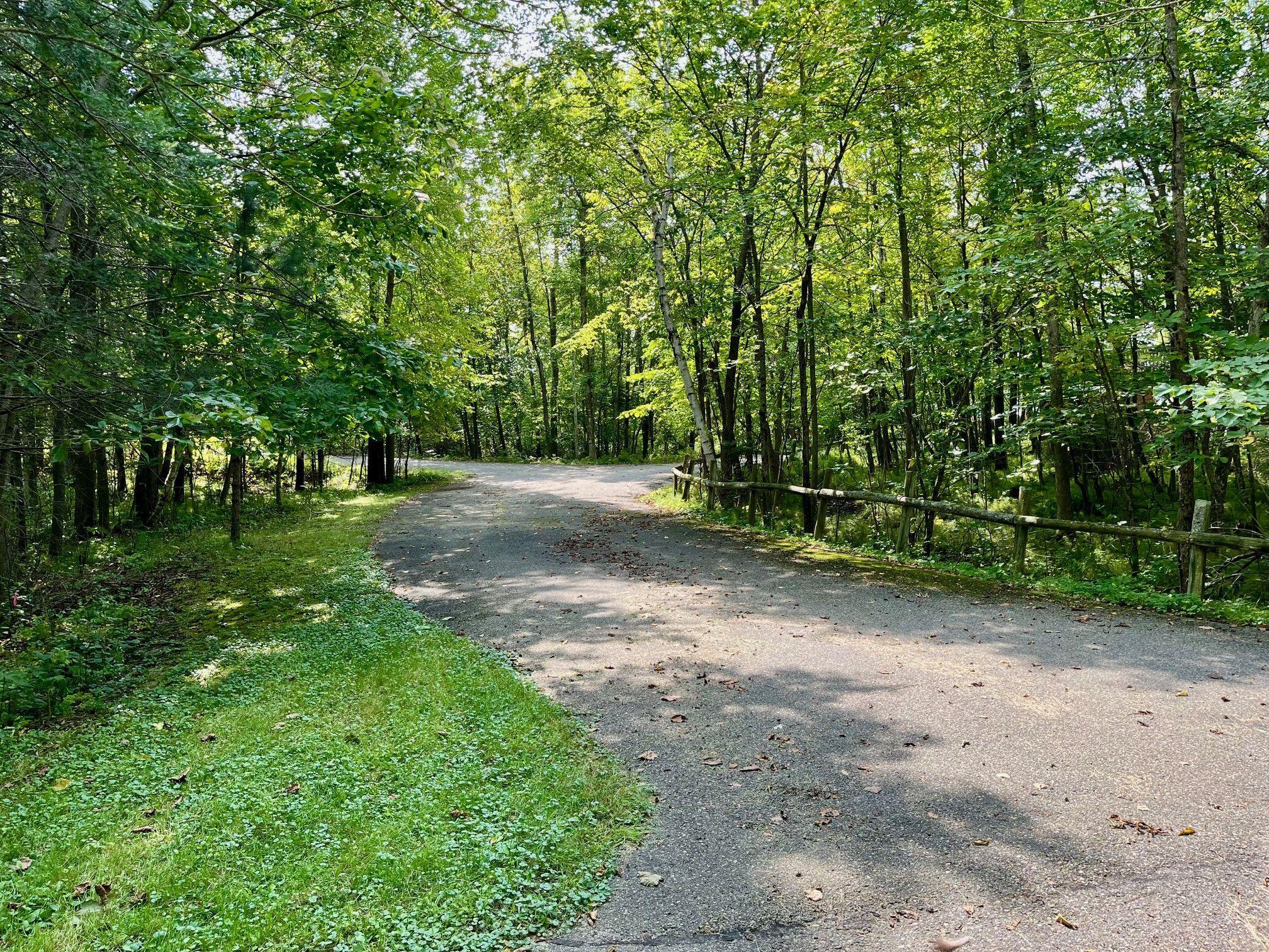 TBD N Courage Drive (Lot 4)