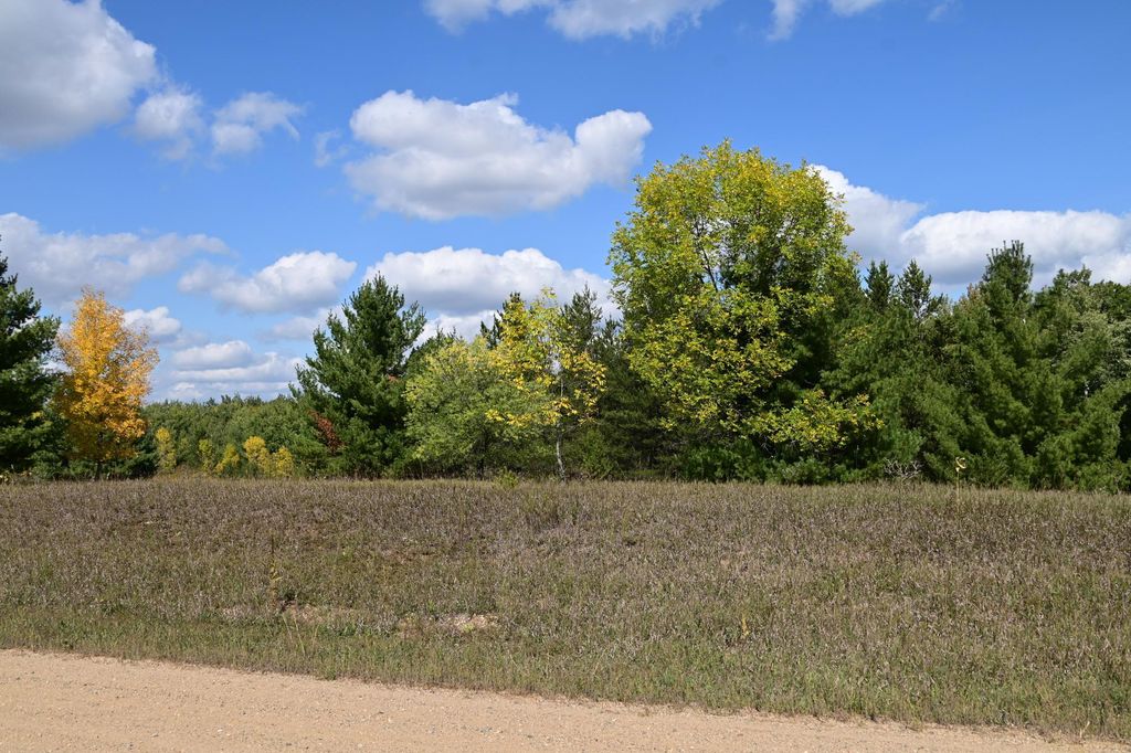 Photo of TBD Oak Drive, Browerville, MN 56438 (MLS # 7034491)