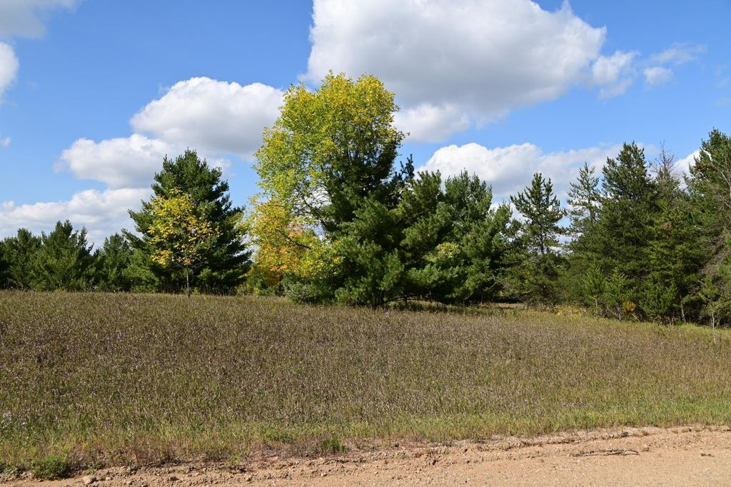 Photo of TBD Oak Drive, Browerville, MN 56438 (MLS # 7034491)