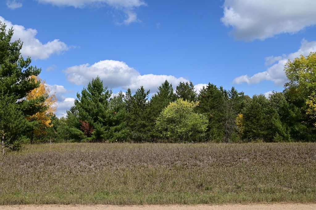 Photo of TBD Oak Drive, Browerville, MN 56438 (MLS # 7034491)