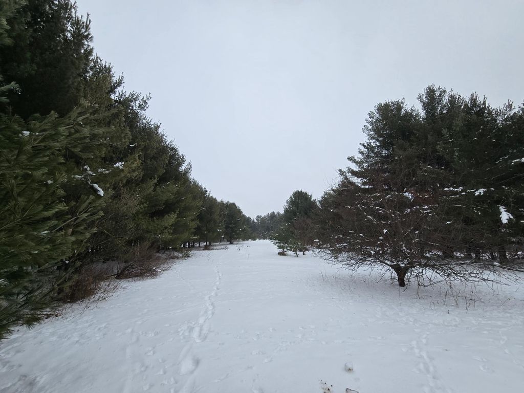 Photo of 2488 20th Street, Cumberland, WI 54829 (MLS # 7006319)