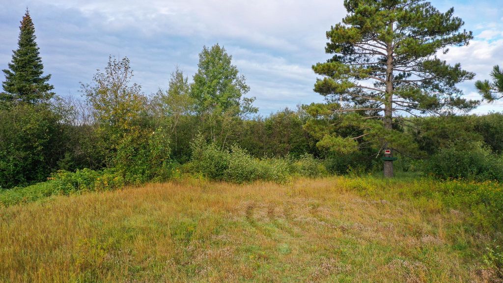 Photo of 6501 Highway 169, Tower, MN 55790 (MLS # 7039704)