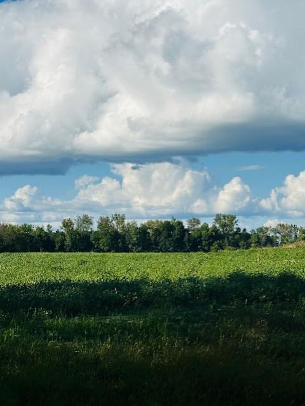 Photo of 8XXX Rushseba Trail, Rush City, MN 55069 (MLS # 7025225)