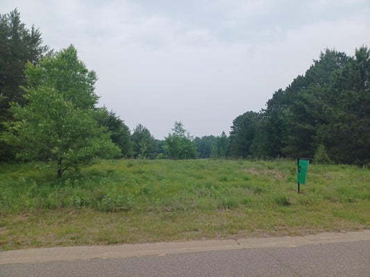 4011 161ST LN NE, ANDOVER, MN 55304 - Image c1b0e9de3a5cc44a8bb7cc7a965d9e8c/3287673153
