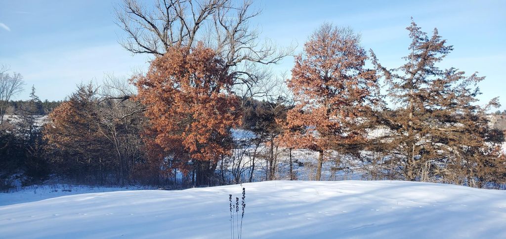 Photo of 1002 Moon Glow Road, Hudson, WI 54016 (MLS # 7009808)