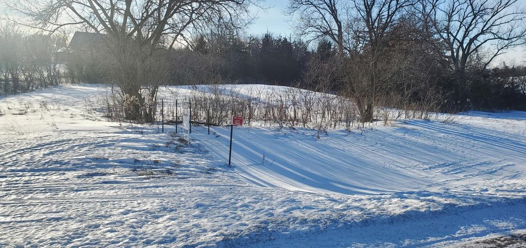 Photo of 1002 Moon Glow Road, Hudson, WI 54016 (MLS # 7009808)