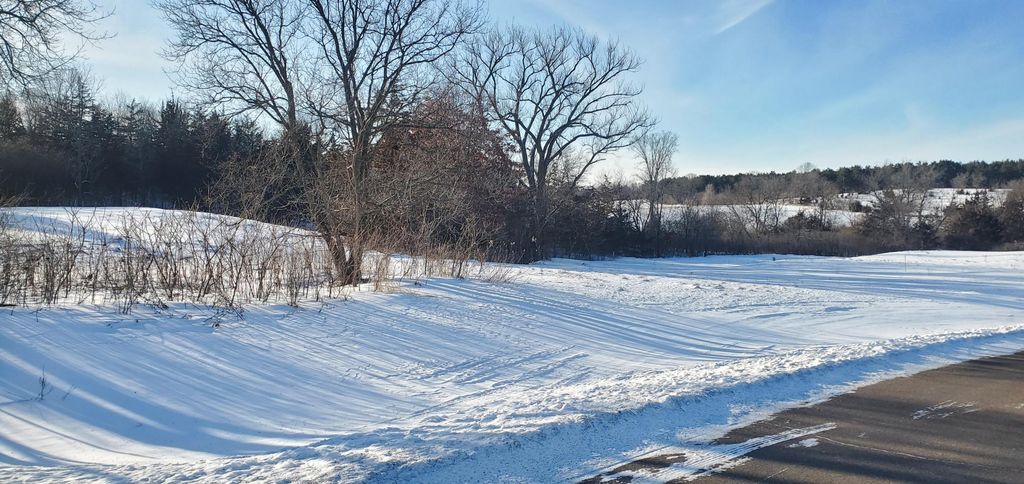 Photo of 1002 Moon Glow Road, Hudson, WI 54016 (MLS # 7009808)