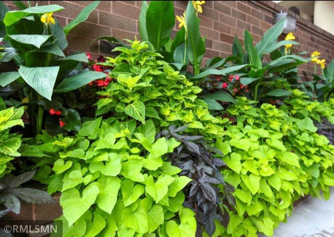 26 10th Street W 1807