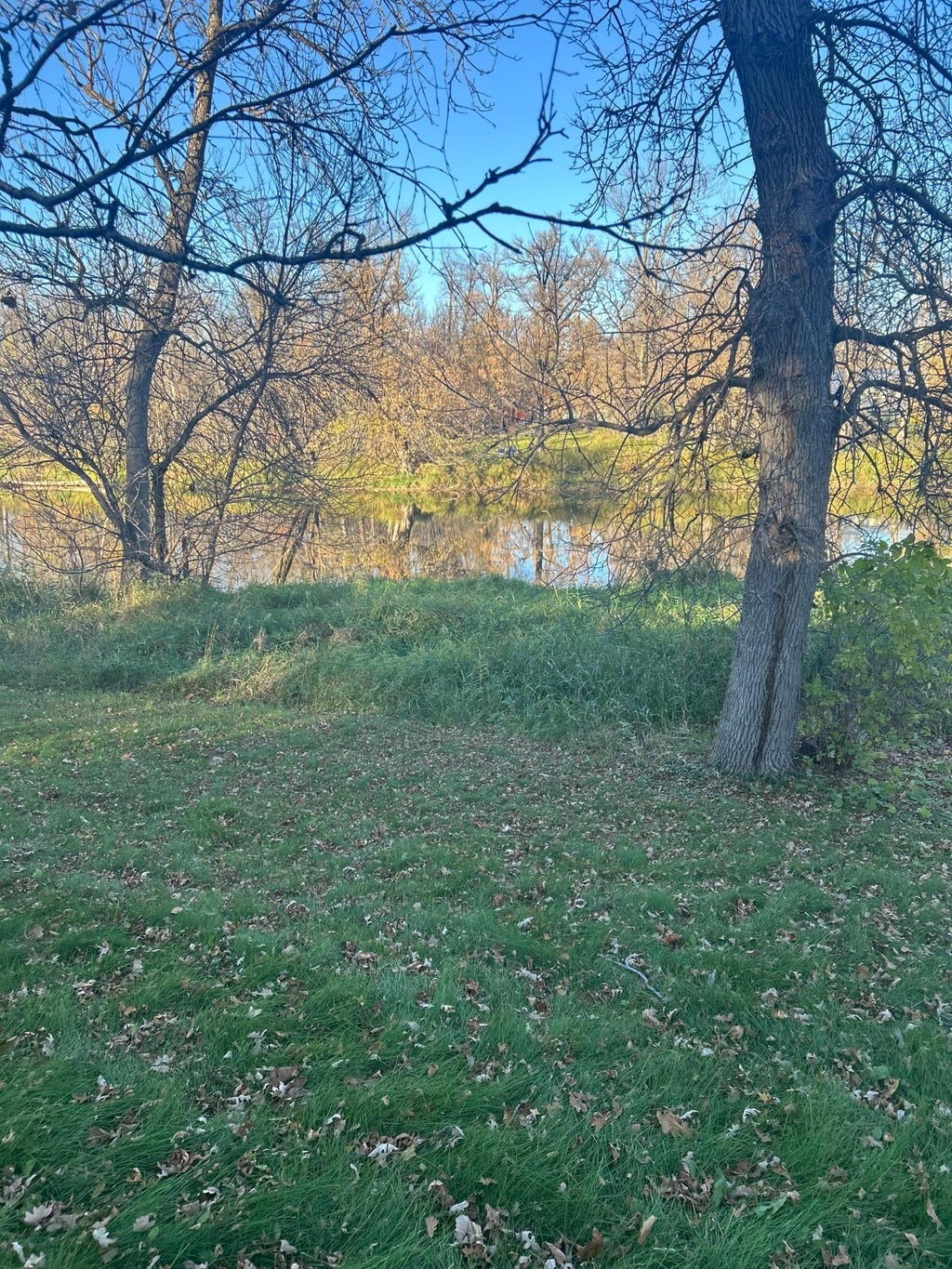 Photo of 17250 152nd Street NE, Thief River Falls, MN 56701 (MLS # 7162462)