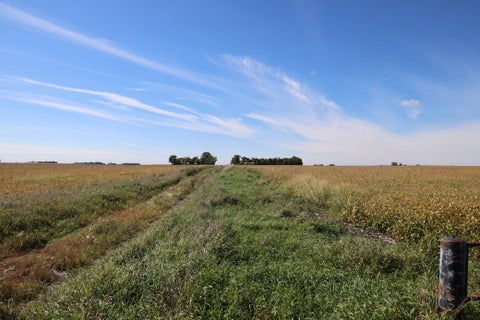 Photo of 81893 470th Street, Hector, MN 55342 (MLS # 7146618)