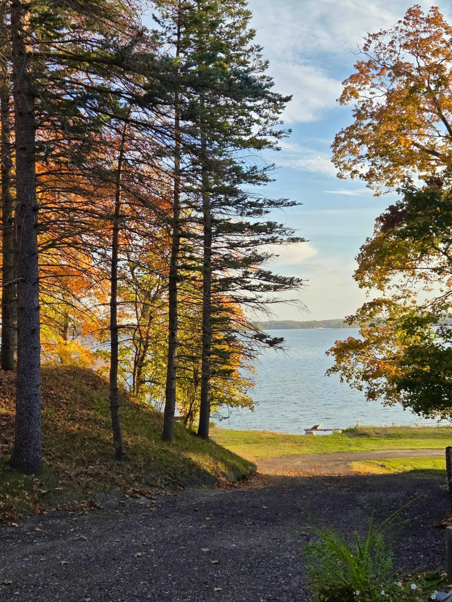 33685 N Cotton Lake Road