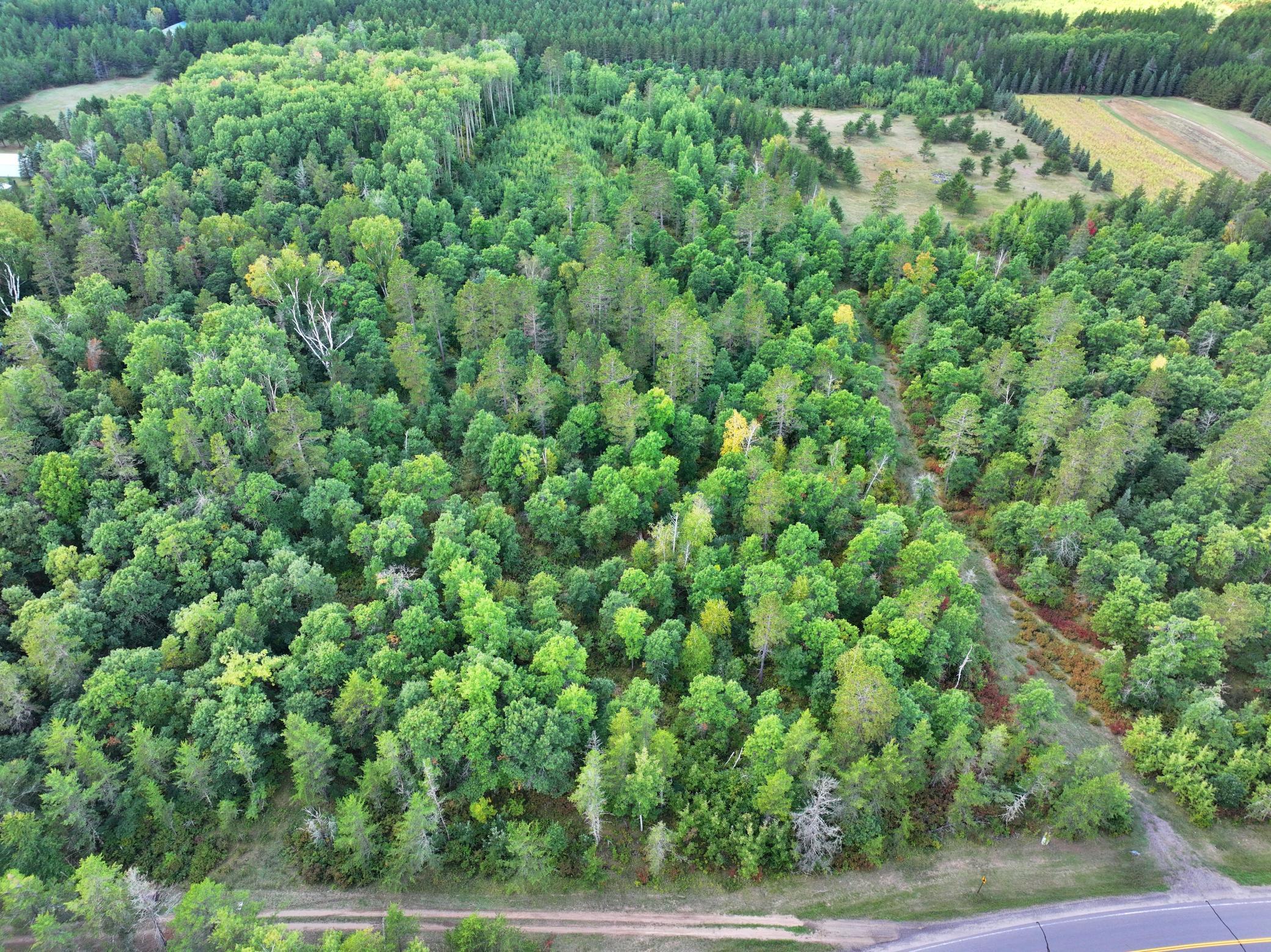 TBD County 119
