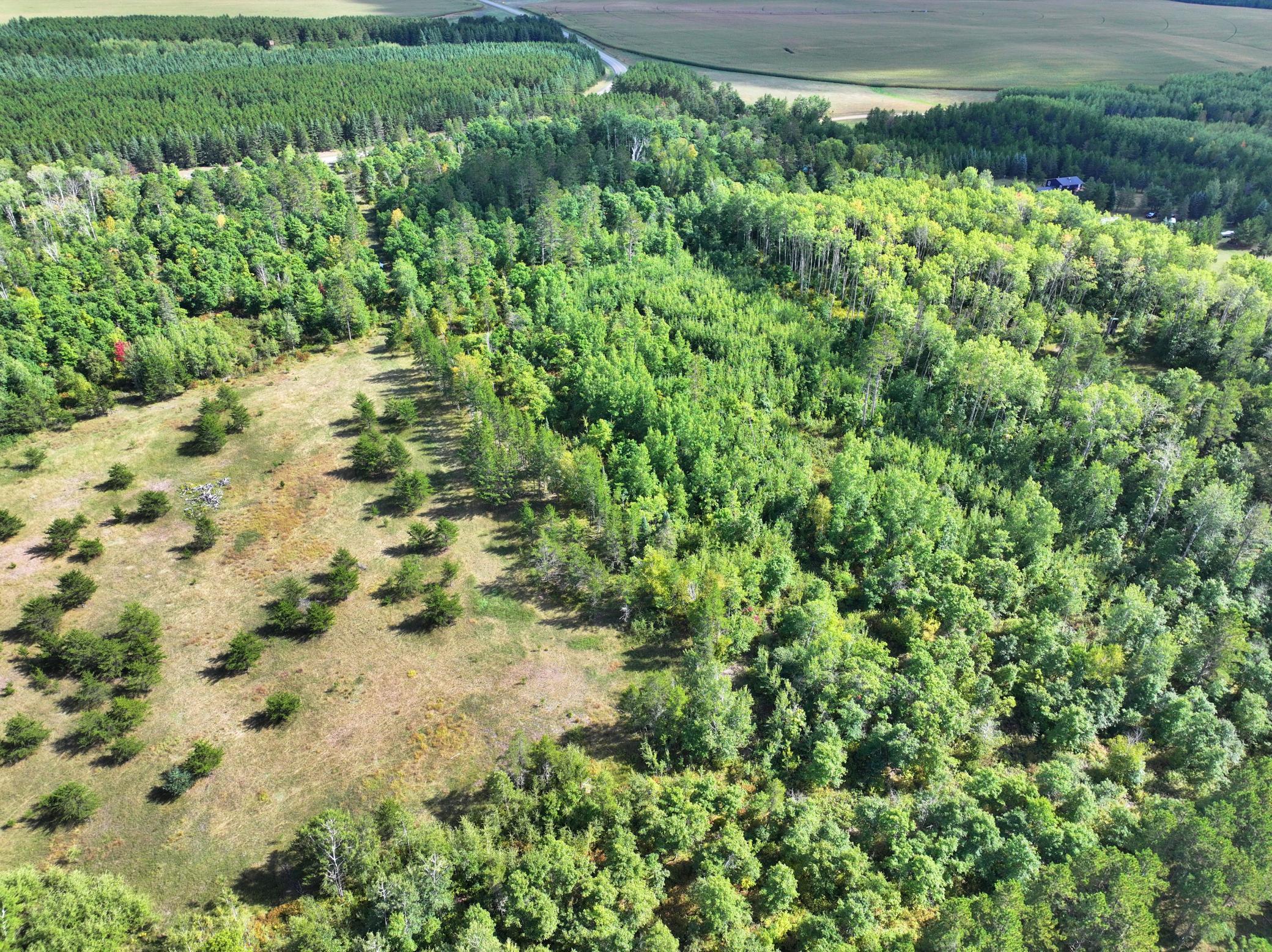 TBD County 119
