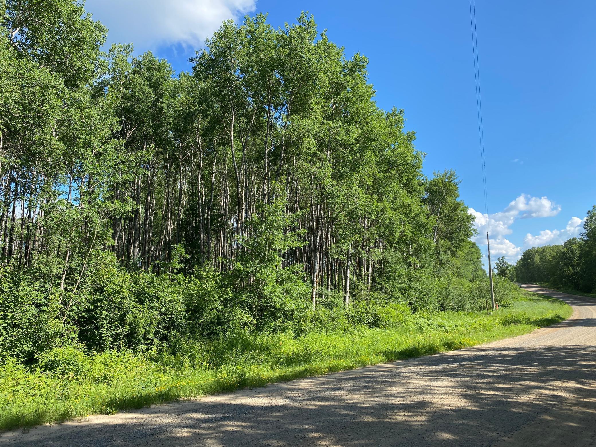 TBD County 23