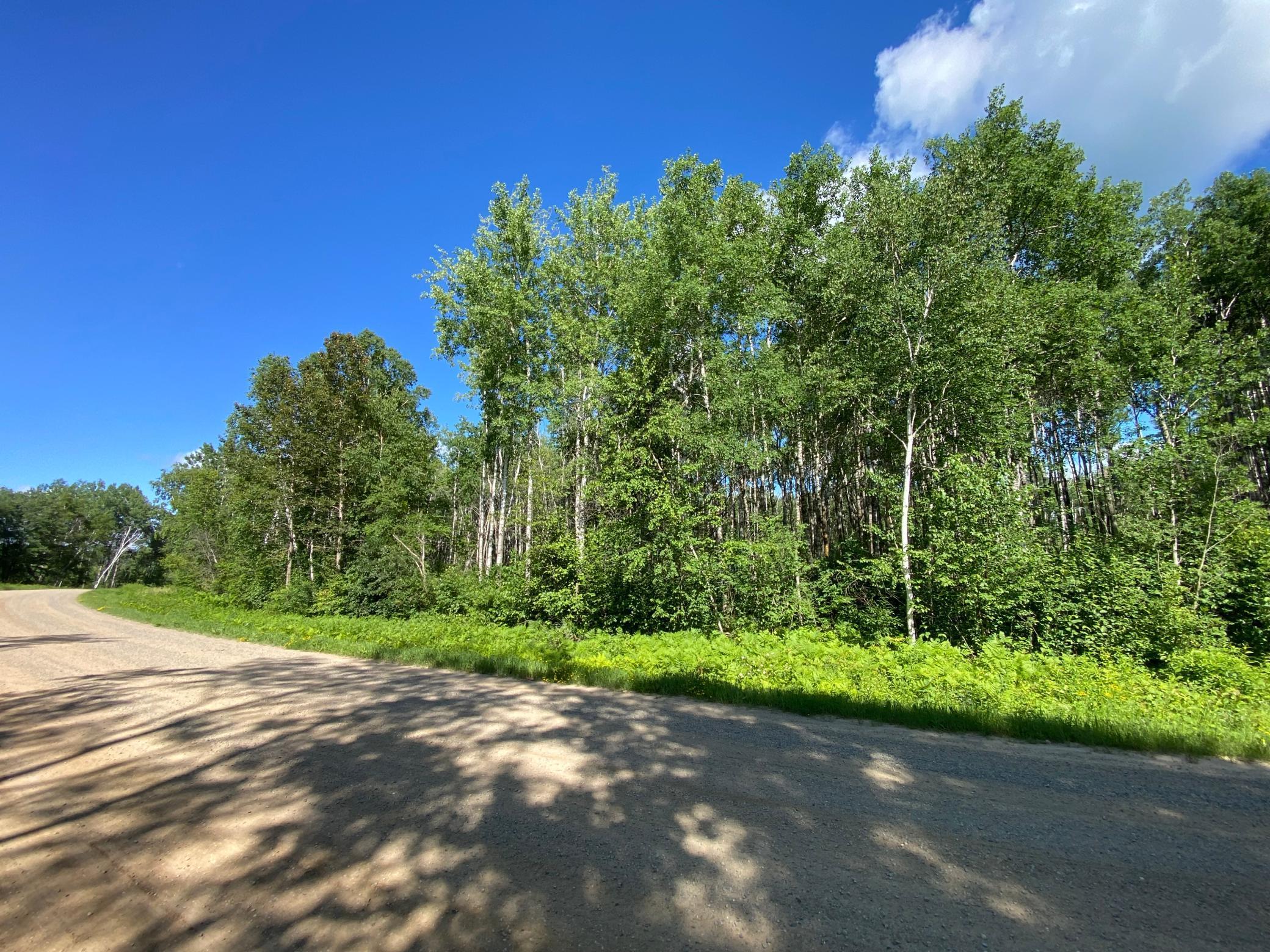 TBD County 23