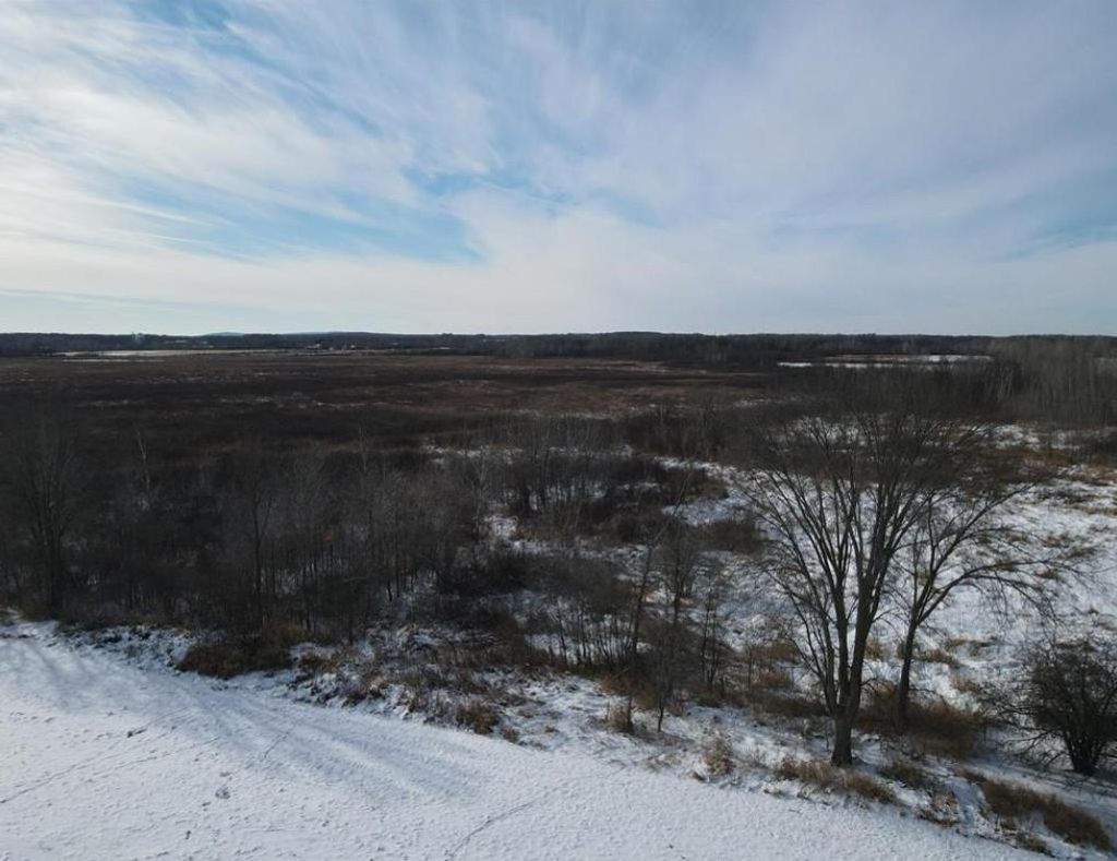 Photo of TBD Homestead Road, Conrath, WI 54731 (MLS # 6826807)