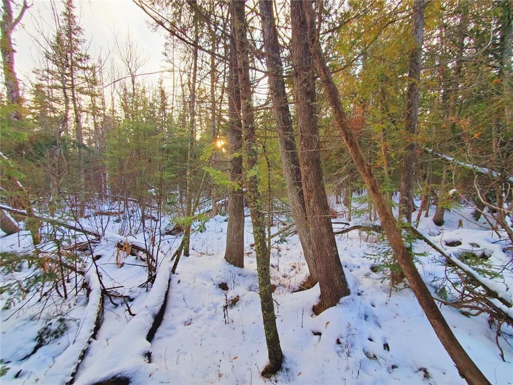 Photo of XX10 Lavaque Road, Duluth, MN 55802 (MLS # 7006884)