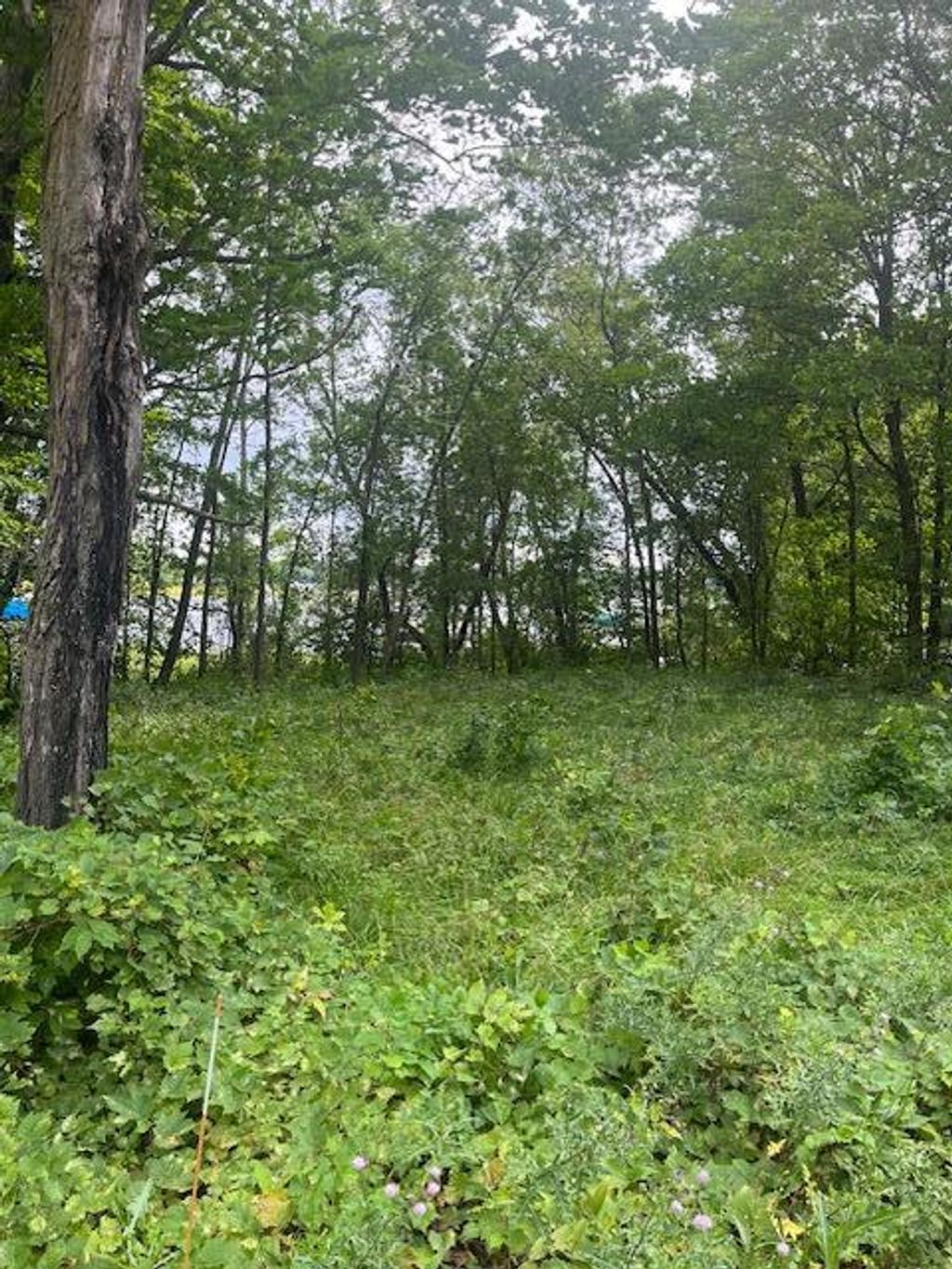 Photo of 51440 Long Point Place, McGregor, MN 55760 (MLS # 7047375)