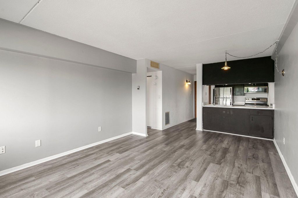 Photo of 1920 S 1st Street #408, Minneapolis, MN 55454 (MLS # 6743317)