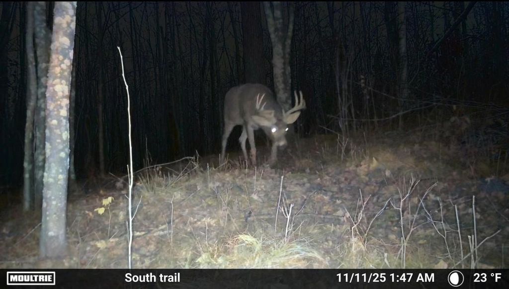 Photo of TBD County 36, Bemidji, MN 56601 (MLS # 7018701)